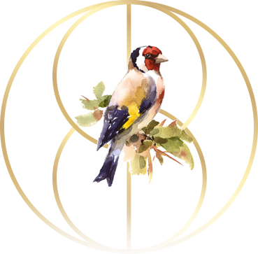 Bird inside of logo